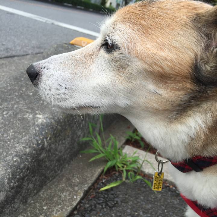 371c824a 58ad 459e 8806 6137b75e8007