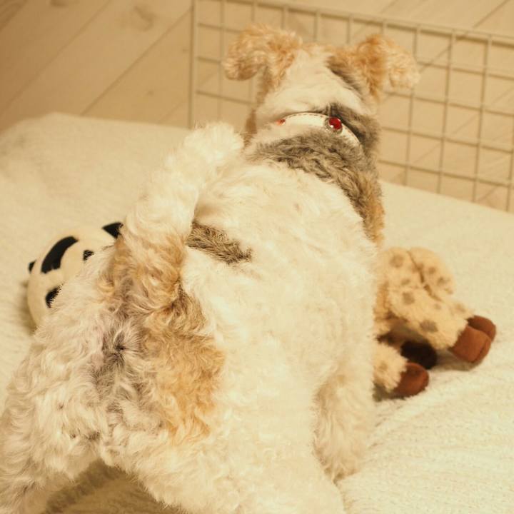 371d8835 6ecd 48fe 9e44 a36c7e10ecc5