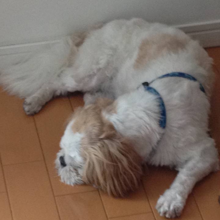 371dbdf9 f290 44ac 8705 9ca4c1018301