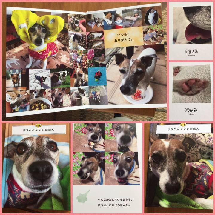 371dd633 cff8 4be3 8ebf d0bdfe4e11a9