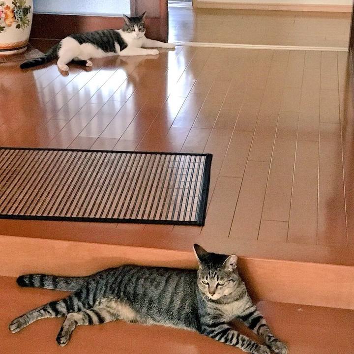 371e32cf 71f8 46c0 b393 106aa0e52e44