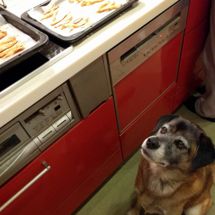 371e3f8f 1ce9 46e7 95f5 1986d6053a01