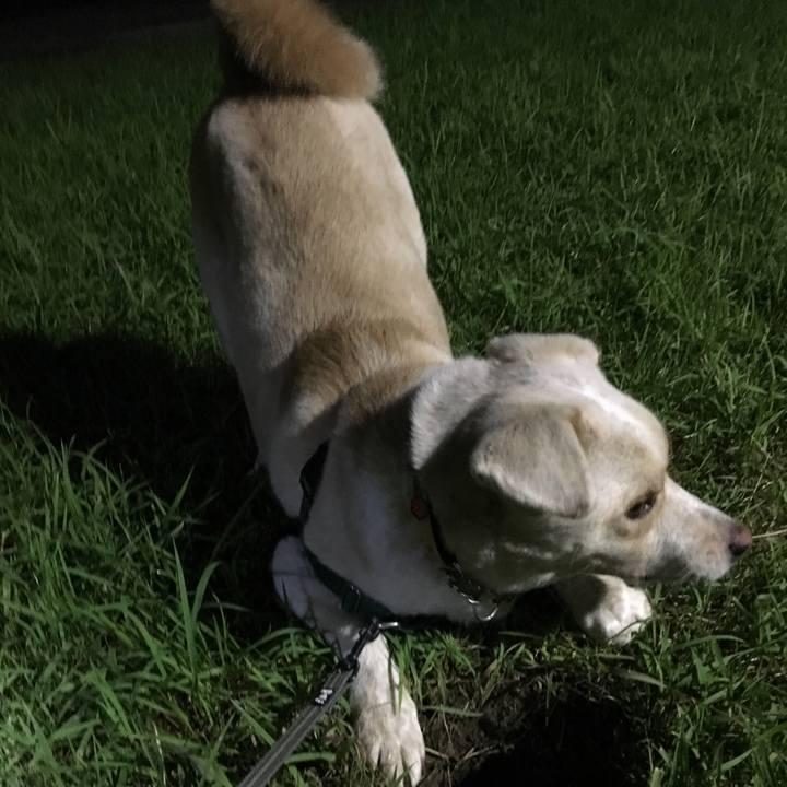 371e4597 fdc3 443b b1a5 22c31d455a2f