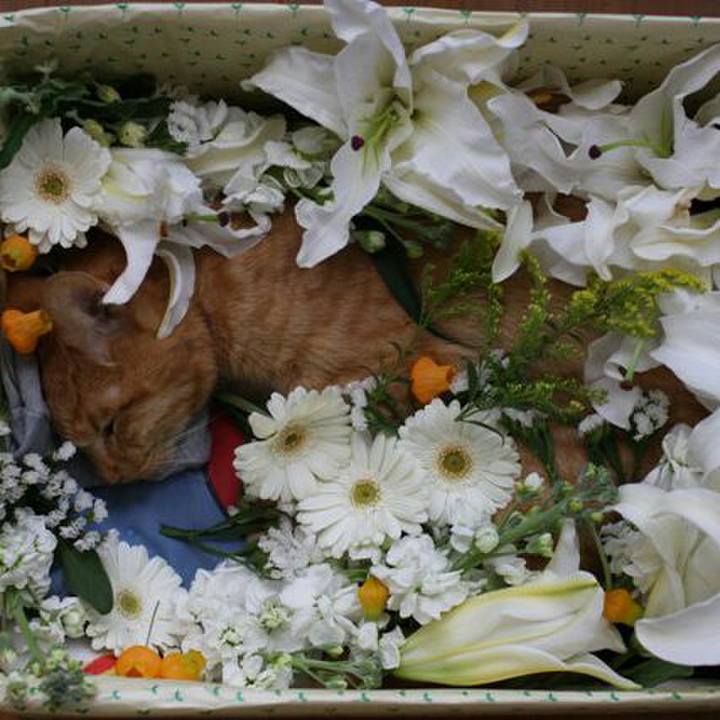 371e73d7 efaa 4a6b af44 4fc122b4e5b5