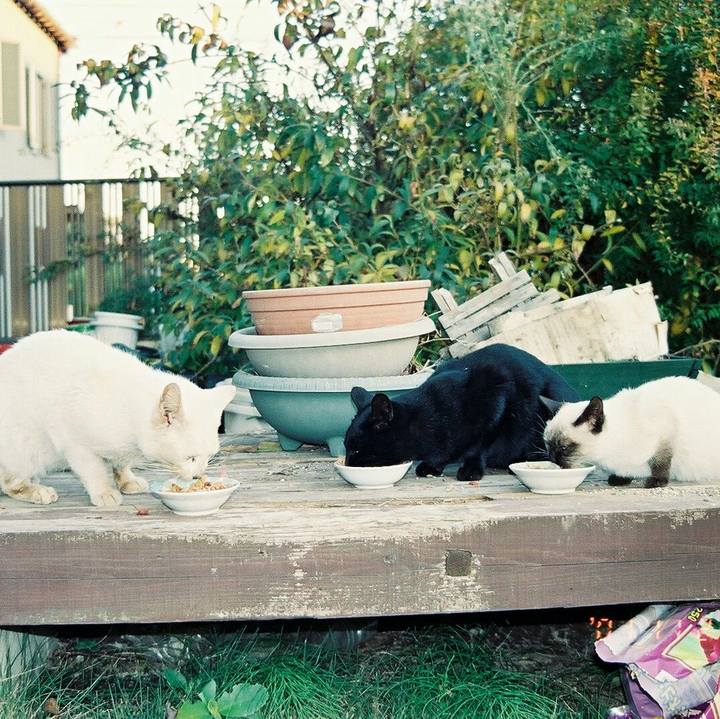 371e9301 8362 4b12 9d5d 774288b11e24