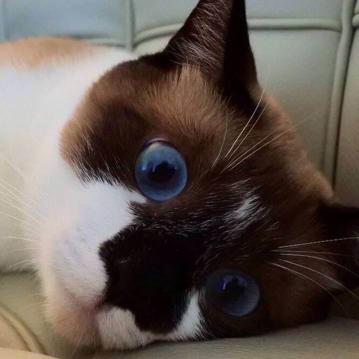 371ea371 1221 448d 8f97 533dbe390fb6