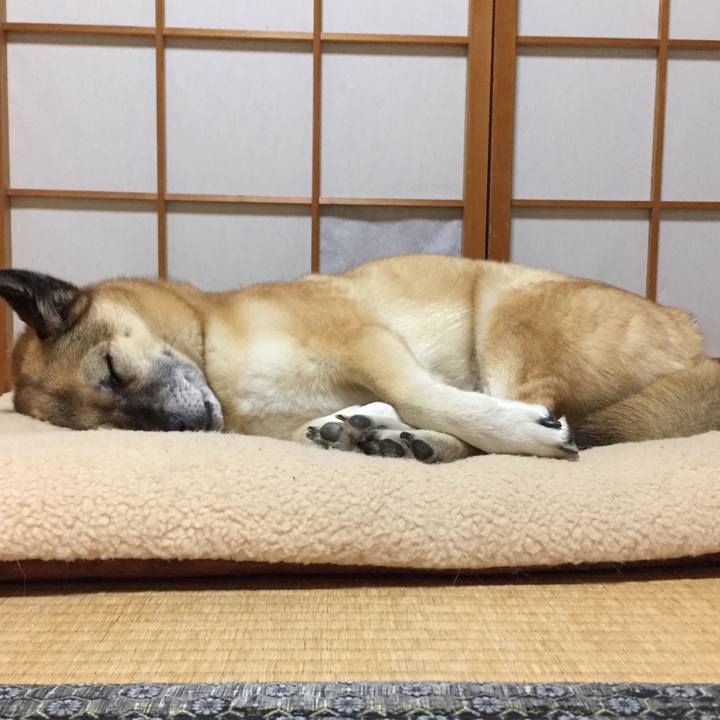 371ecd03 ca28 4ab2 9103 92ab97d88925