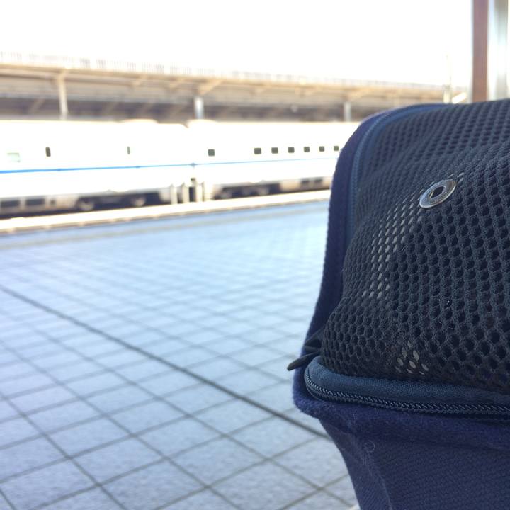 371f74bf ffb4 4631 9029 eb4511a656c5