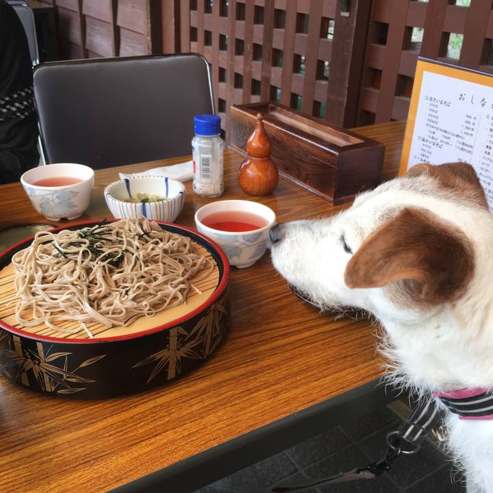 371f7f20 5ae8 45bb a57a a27905b4aa44