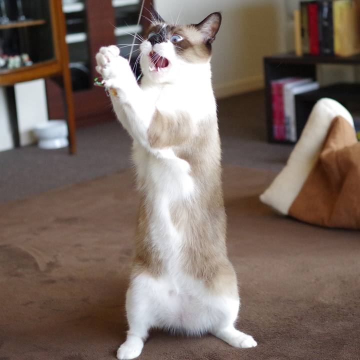 371f887d 6c12 467e ba76 fb40d610e546