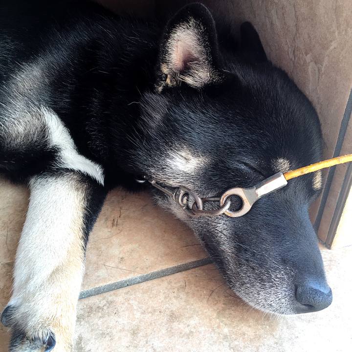 371fd565 5b8e 4c58 8957 07cf7a5a585f