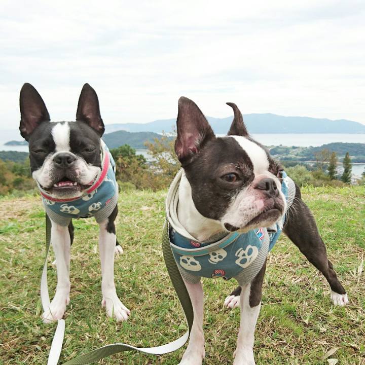 371ff66a 2b24 4b67 a48b 5db0f0ace320