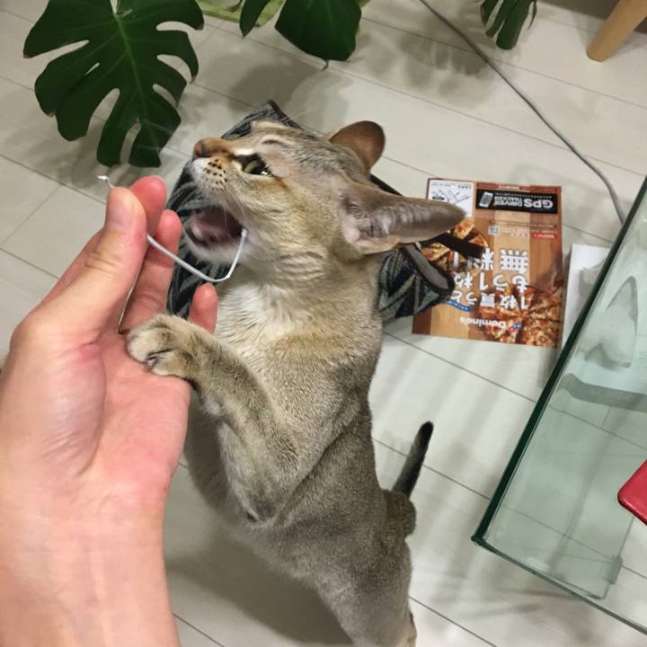 372064c1 692a 47f8 91ca 88a564b67170