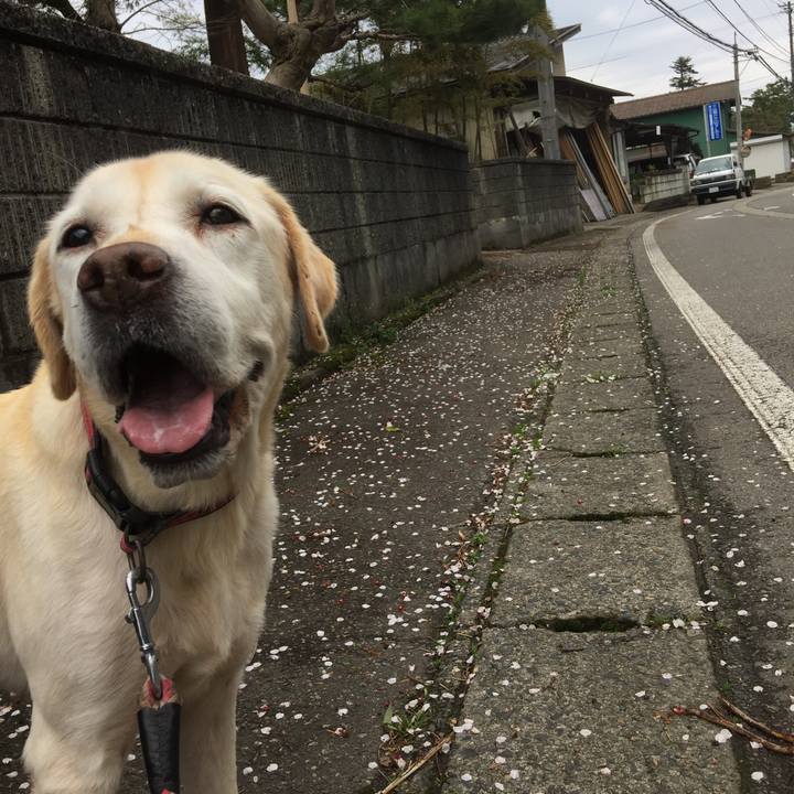 3721d851 2ce1 4662 bbc9 c73b24881c74