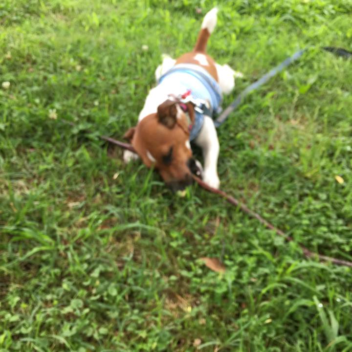 3721ffb4 3b24 408c b5eb 12316b3eefe0