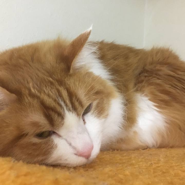 372227fd a7c9 48fc a88c f83a2a5aa392