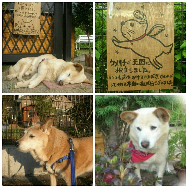 3722640d 9e24 4b38 8b8f 4590f0ce0d4a