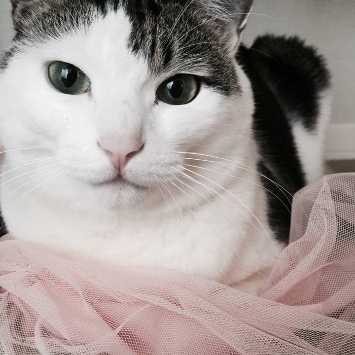 37226681 ef63 4254 83eb e93342478fed