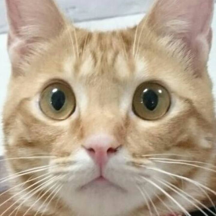 37230532 6aa7 42f4 a44c 8dc18a89e57e