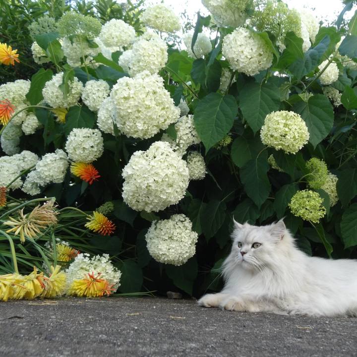 3723074d 3519 438f b4d0 8f067d548133