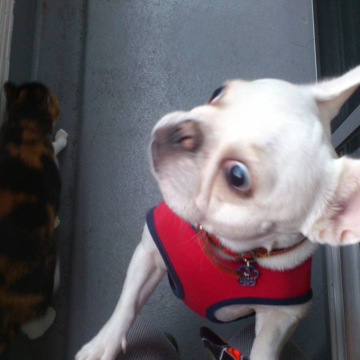 37234c0e d5f9 486d bcd6 2946ff680a05