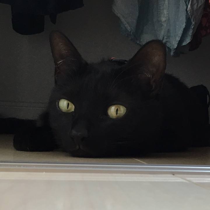 3723e1eb 659e 4723 bb46 e81736a205d8