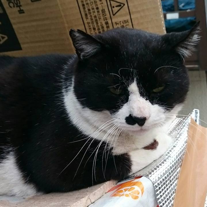 37241ce9 e308 4365 a876 3086f3c5e4bd