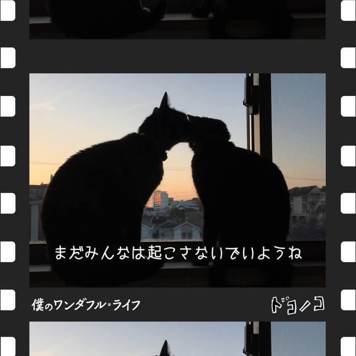 37242b5a 3924 49cf a711 e8184e8bd22b