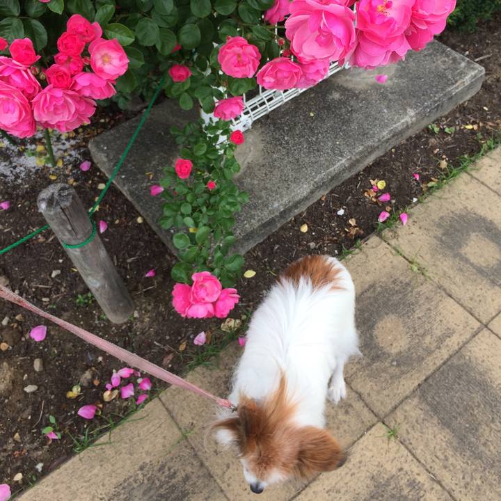 37246c8a 8918 4622 b6bd 67324b88f187