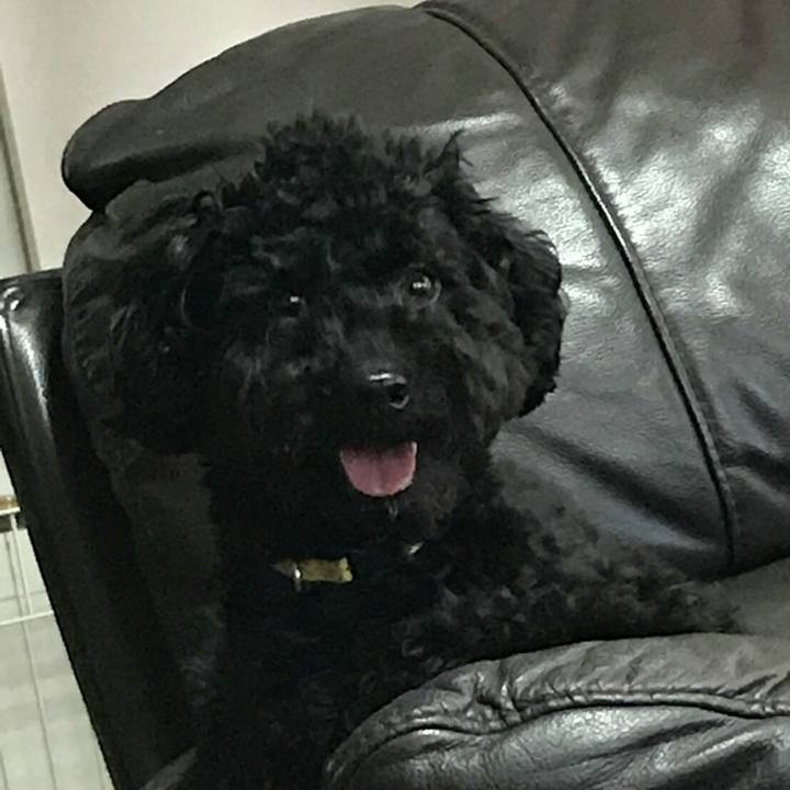 37248cb5 dd58 42e3 9db8 5096b0ce4eb8