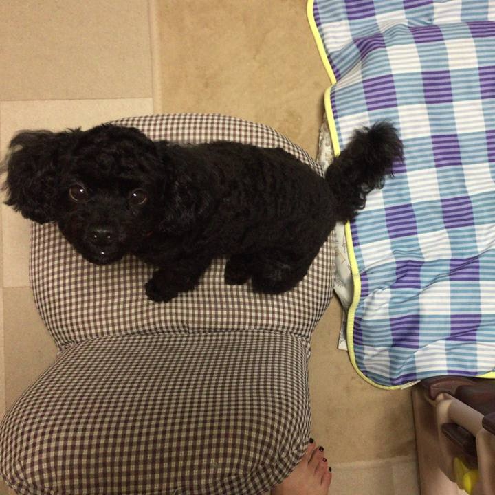 3724cbda c219 472c b2b4 176f60846527