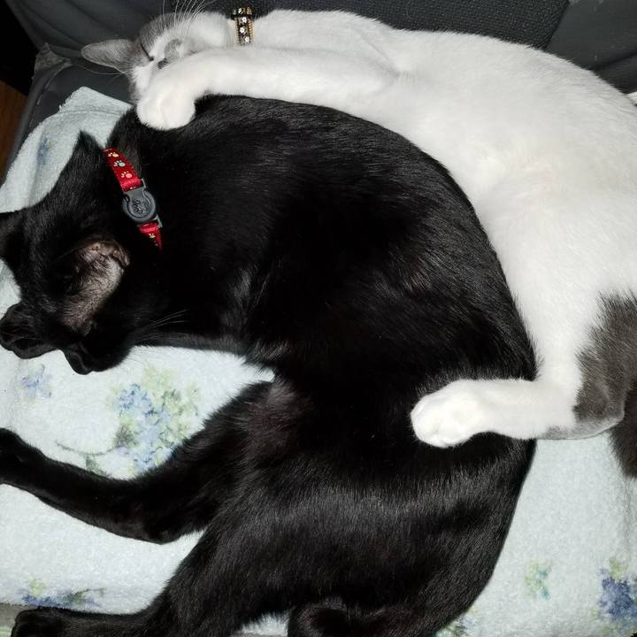 37254775 407f 4e57 9dba d1f05b5386e0