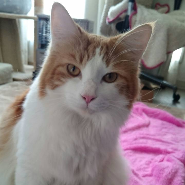 37264801 753f 465f 8f76 7cdc7f2874ba