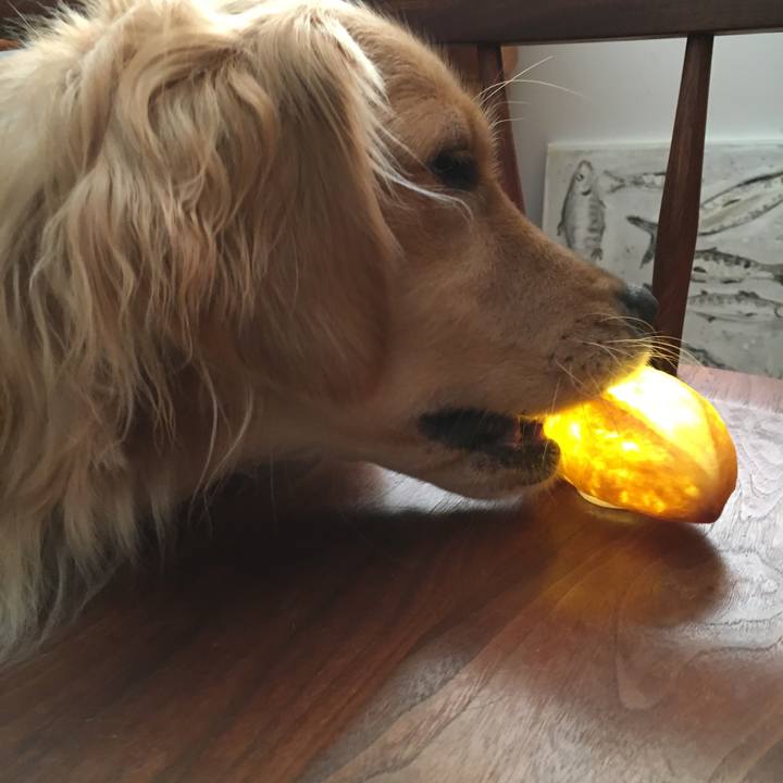 3726b4b3 5611 4dac a118 f7eec2140d4f