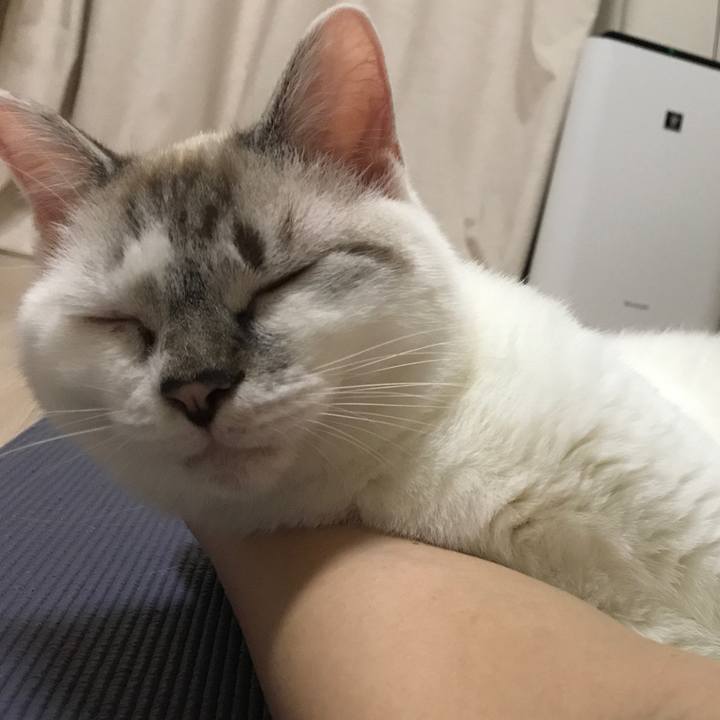 3727001c b99a 431f b05c 7c0c8b427977