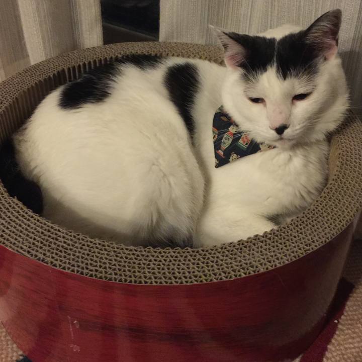 3727867e 9821 443f a37a 8f7de9f9a8a3