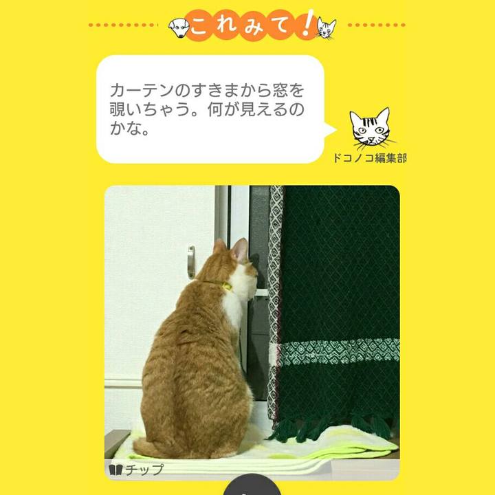 3727e8f0 e471 428e 97eb c3698eb749d2