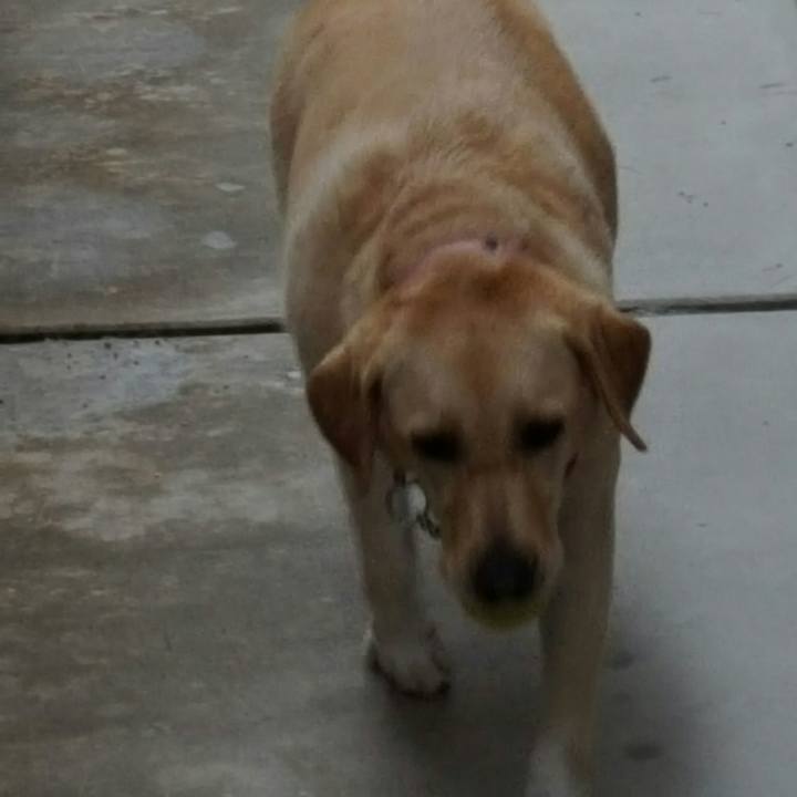 37283e2f c313 431e a428 6ddc4bfa4528