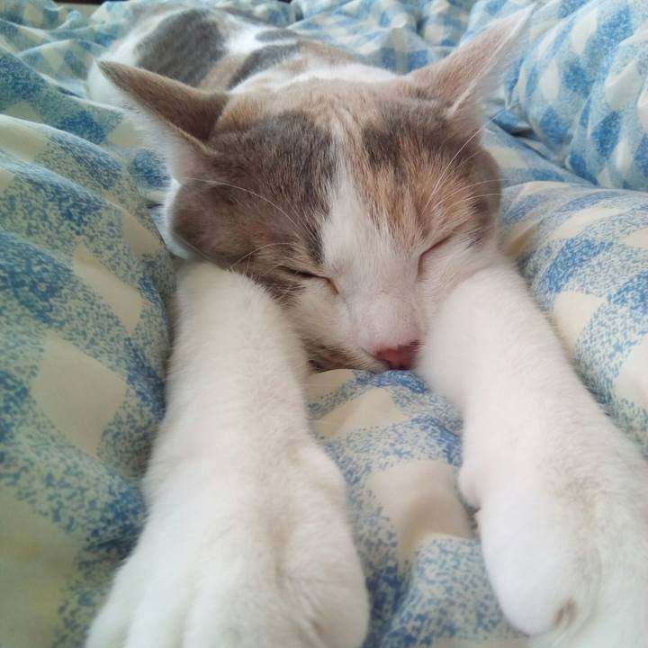 372847bd a976 48dc a99d 60c553e19b76