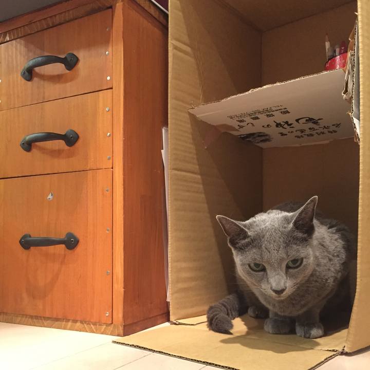 3728bf97 f9e3 4e28 b424 c096c1fe2b33