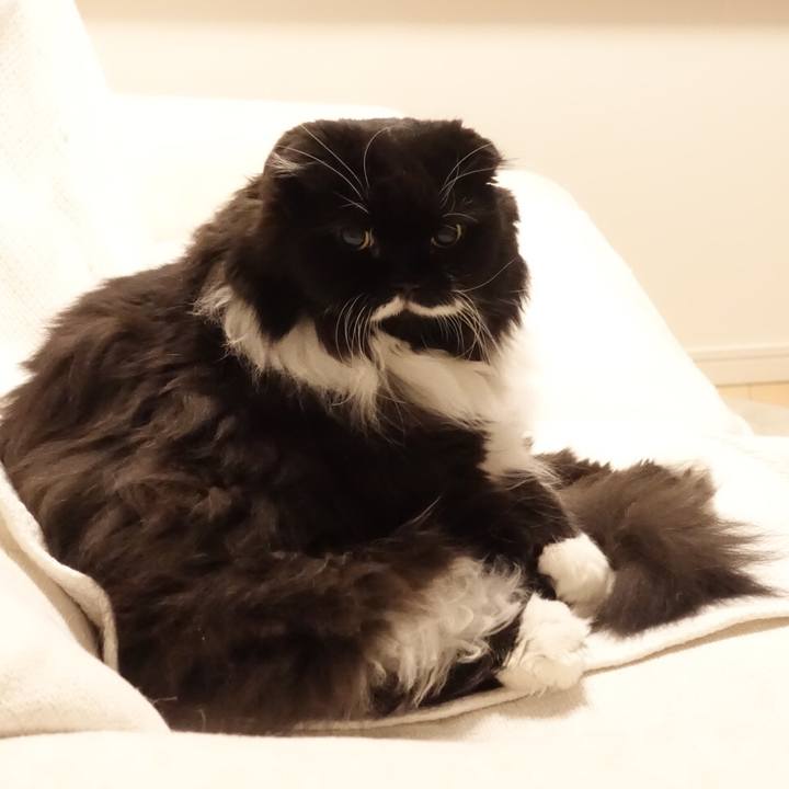 3728f65f 60be 477a a3d4 b9d2e7aade6b