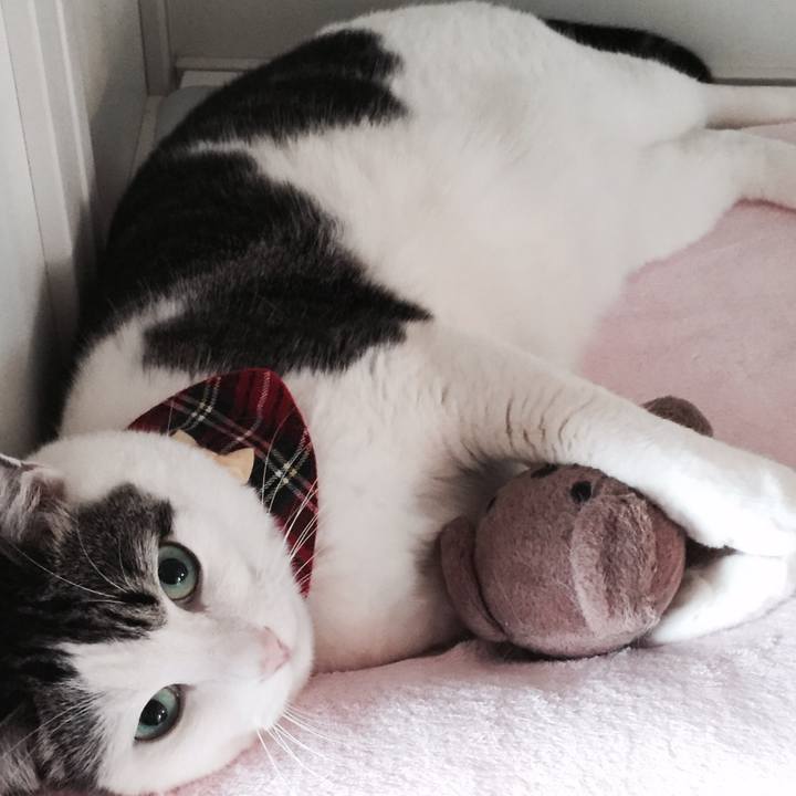 3729306a 23ef 4a01 a58d c43276193df5