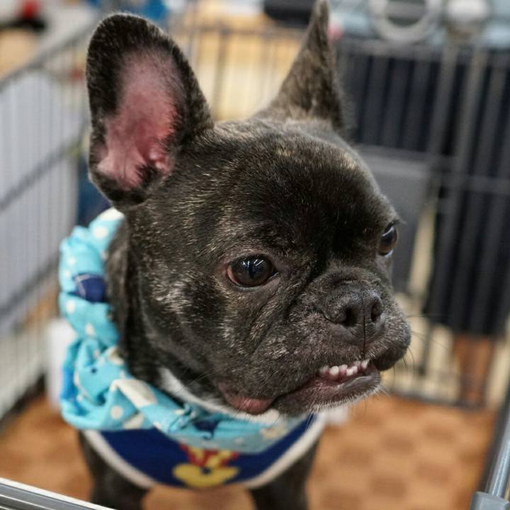 37294de0 fdfa 4ba0 87f7 e416271a7870