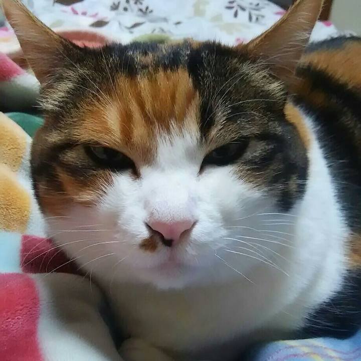 3729b74e 9735 4265 8aea e785f6be077e