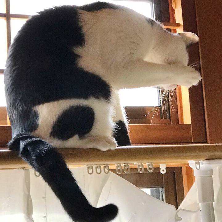 372a0a0e d079 4dfa a3c7 0d95a8a50223