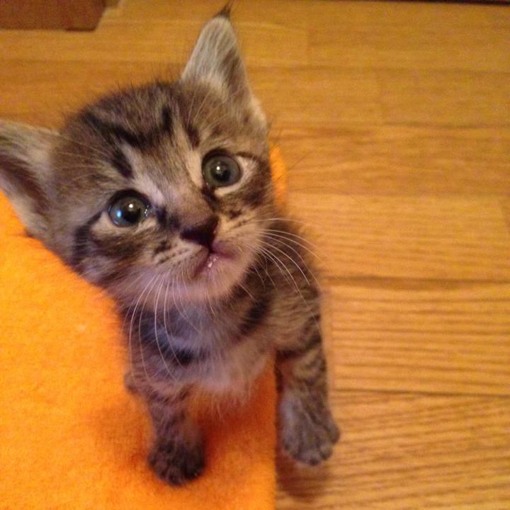 372adc8b 2fd4 4de3 9086 6825b0cfb69d