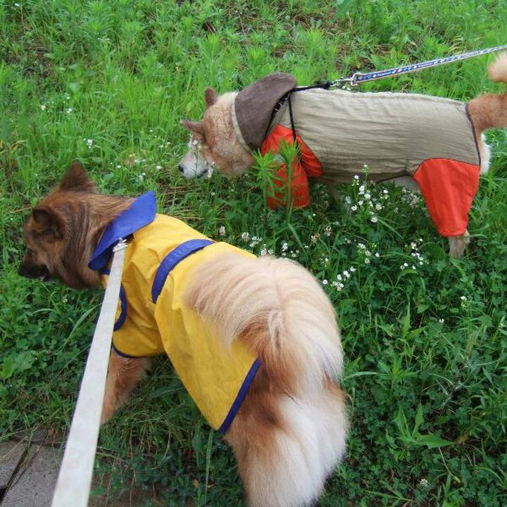 372b5cdd 6485 47e1 8fd3 5b5dc3c597a3