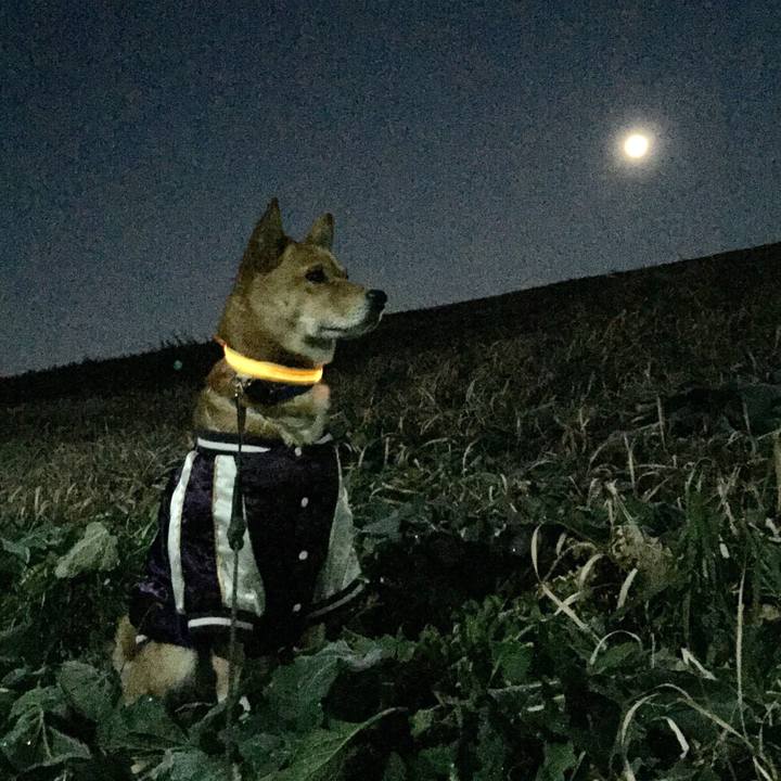 372bb74b ccb7 44fc 9ea6 304ad340811f