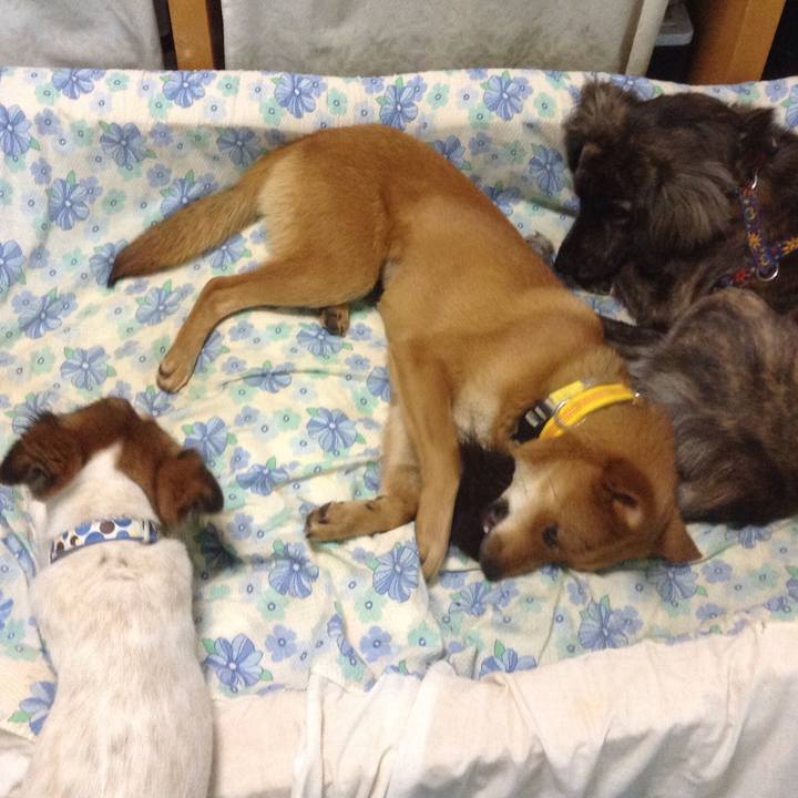 372be813 b9c2 41ff be02 c06357bb35b7