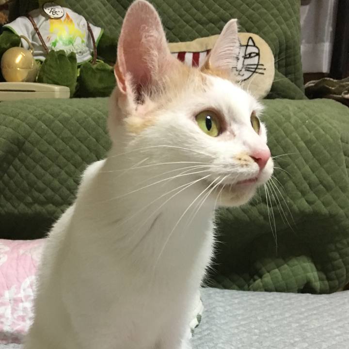 372c379a 5e5e 4b10 ab36 3947934a6343